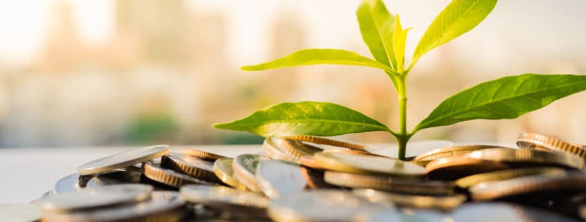 Financial Growth, Plant on pile coins with cityscape background